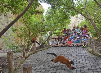 Bioparc Valencia abre las inscripciones de su escuela de verano