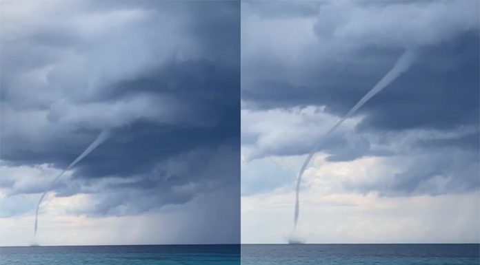 Vídeo: Impresionante lengua marina en Formentera