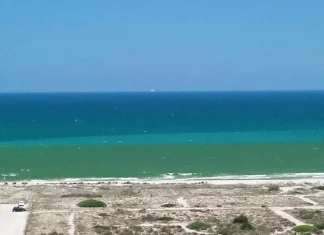 Las playas del Perellonet se tiñen de verde