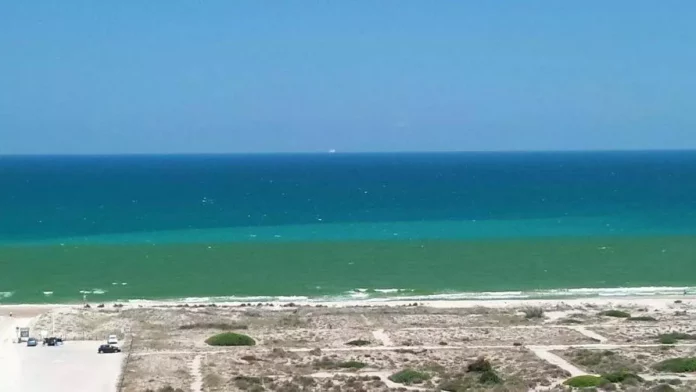 Las playas del Perellonet se tiñen de verde