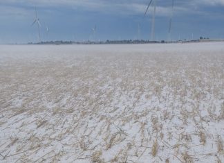 Las últimas tormentas agravan los daños en el campo con siniestros cercanos a los 100 millones