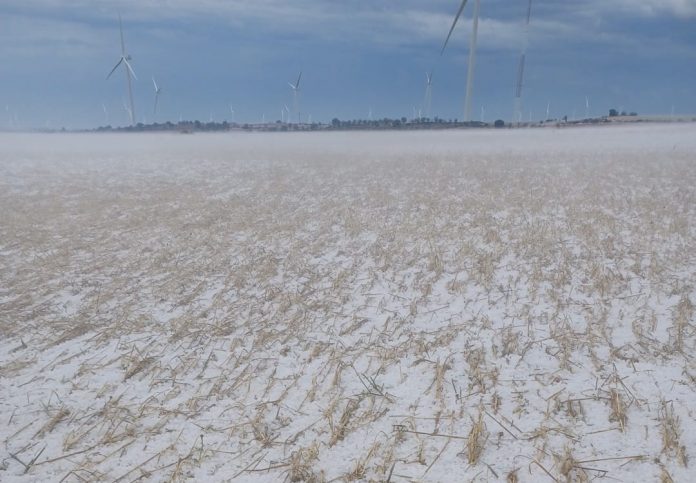 Las últimas tormentas agravan los daños en el campo con siniestros cercanos a los 100 millones