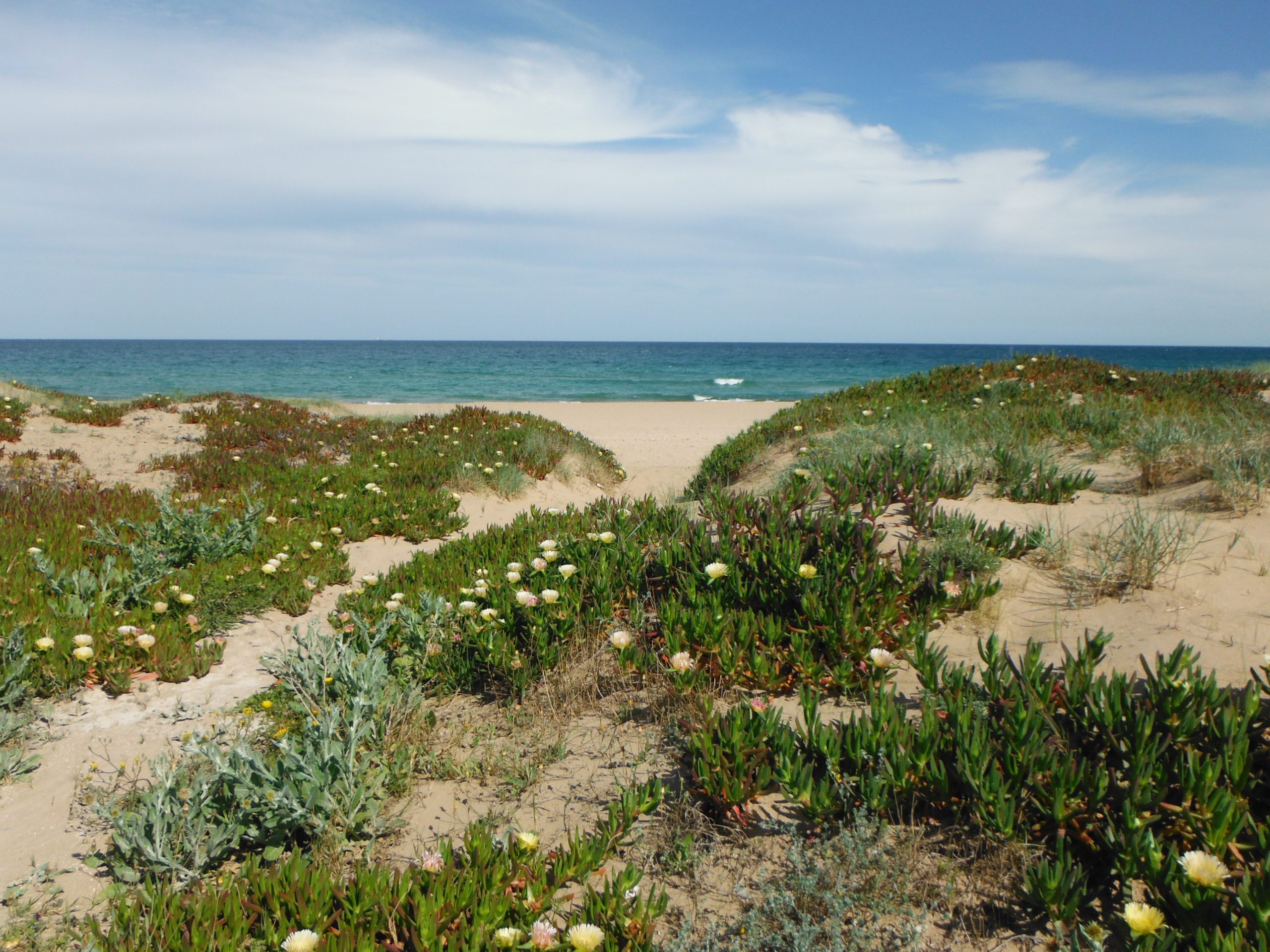 Esta playa alicantina cuenta con zona textil y zona nudista indicada