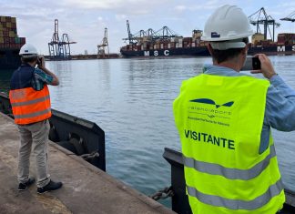 Encuentran el cadáver de un hombre flotando en el puerto de Valencia