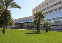 Una universidad valenciana, entre las 5 mejores de España Una universidad valenciana, entre las 5 mejores de España