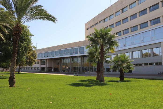 Una universidad valenciana, entre las 5 mejores de España