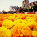 La Batalla de Flores llenará Valencia de aroma y color: fecha y horario de celebración