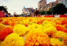 La Batalla de Flores llenará Valencia de aroma y color: fecha y horario de celebración