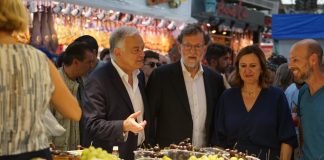 Mariano Rajoy visita Valencia junto a Catalá y González Pons