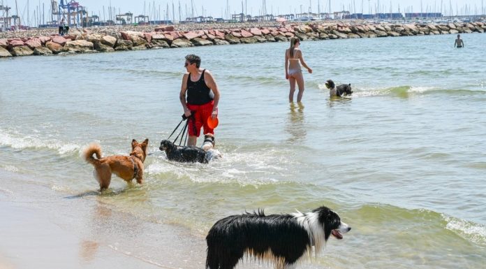 La ONU alerta de temperaturas extremas: Anuncian la era de ebullición global