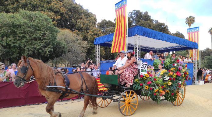 Fotos: Las mejores imágenes de la «Batalla de flores» con más de 1 millón de claveles