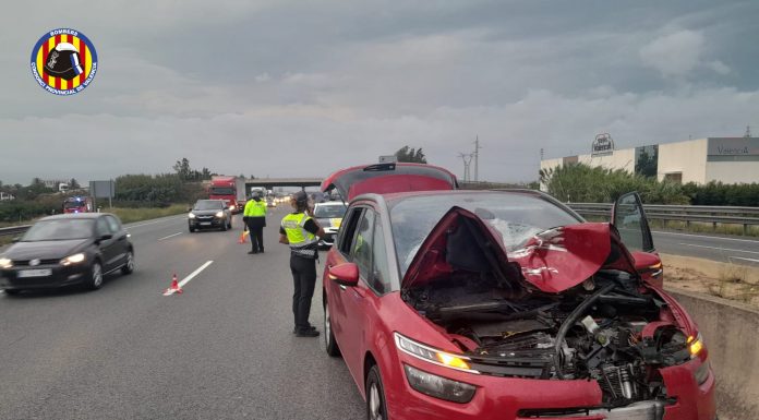 Dos personas heridas al chocar con una cabra en una autovía de Valencia Dos personas heridas al chocar con una cabra en una autovía de Valencia