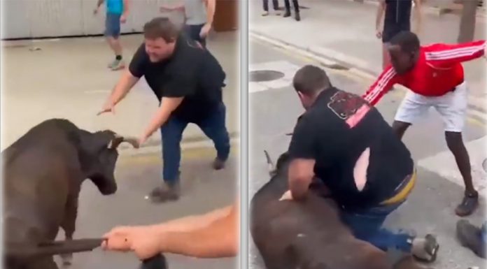 Vídeo: Maltratan a una vaquilla en un festejo de Navarra