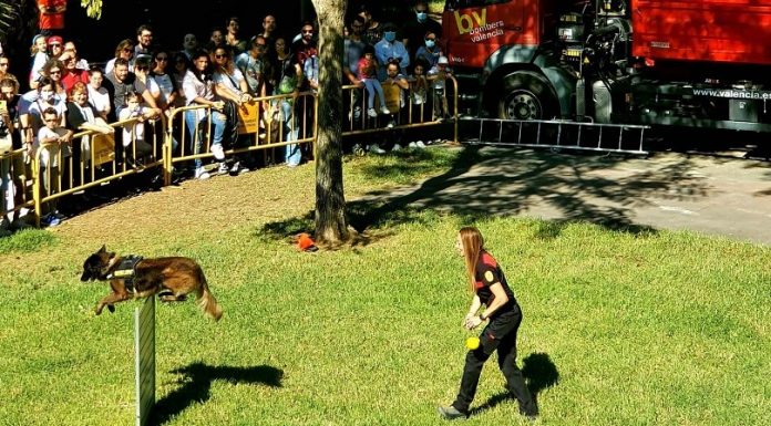 Valencia celebrará una fiesta gratuita para perros y familias en el Jardín del Turia