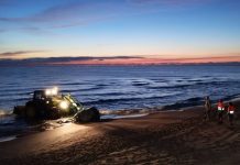 Una ballena de cinco metros aparece muerta en la playa de Piles
