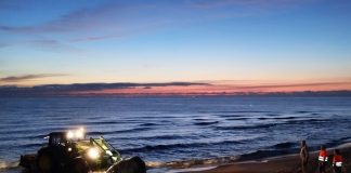 Una ballena de cinco metros aparece muerta en la playa de Piles