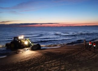 Una ballena de cinco metros aparece muerta en la playa de Piles