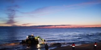 Una ballena de cinco metros aparece muerta en la playa de Piles