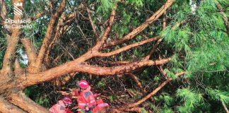 Un 'reventón húmedo' deja árboles arrasados, incendios y rescates