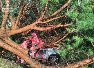 Un 'reventón húmedo' deja árboles arrasados, incendios y rescates