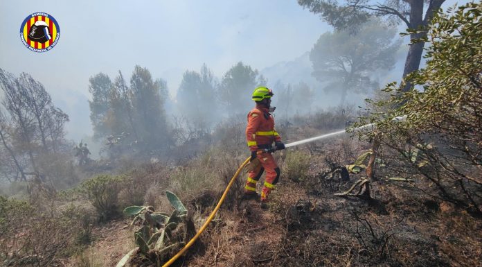 Estabilizado el incendio en Puzol