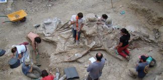 Uno de los dinosaurios más grandes de Europa aparece en Morella