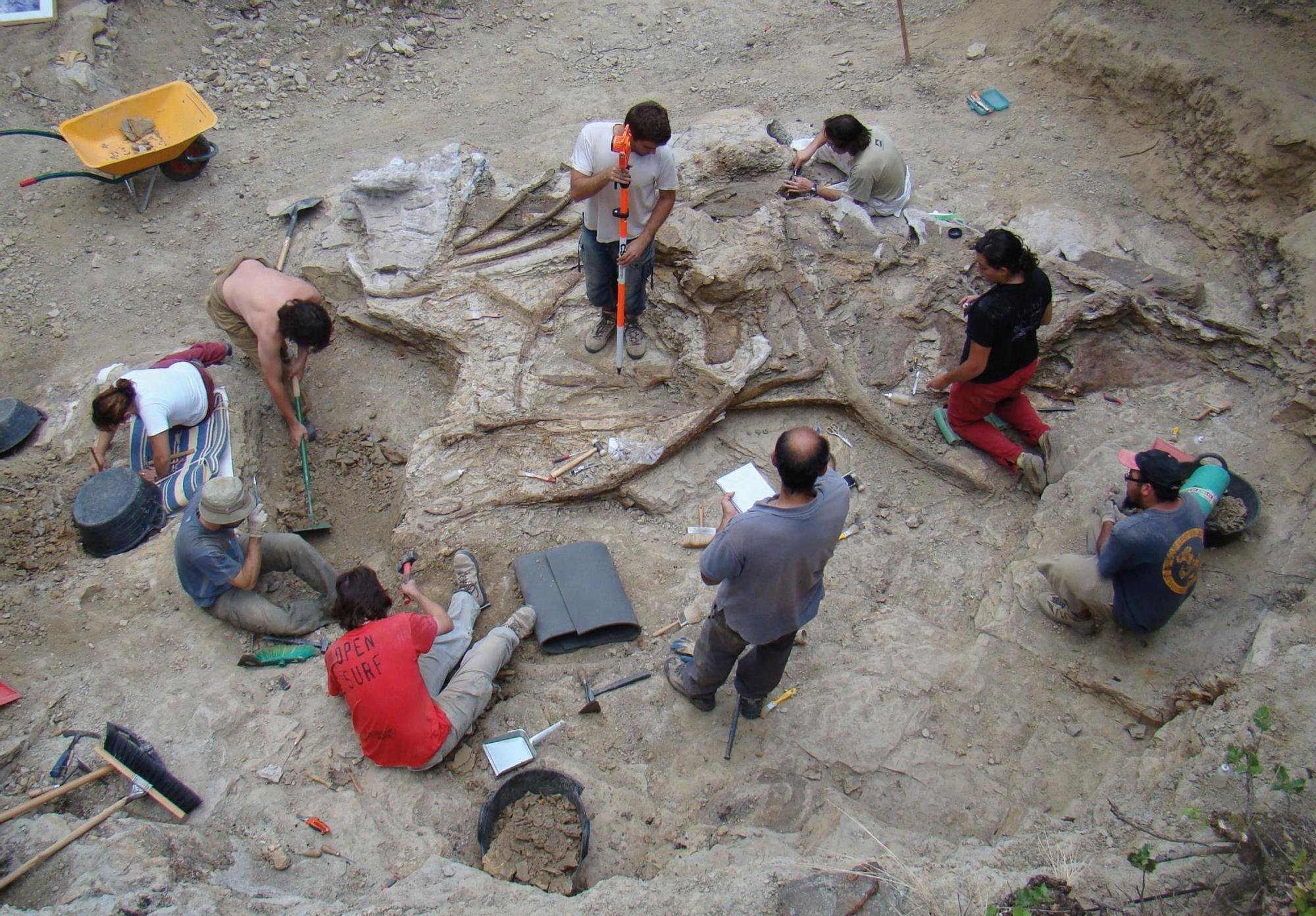 Uno de los dinosaurios más grandes de Europa aparece en Morella