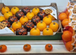 La 'Naranja Valenciana' llegará a más supermercados: dónde comprar cítricos de Valencia