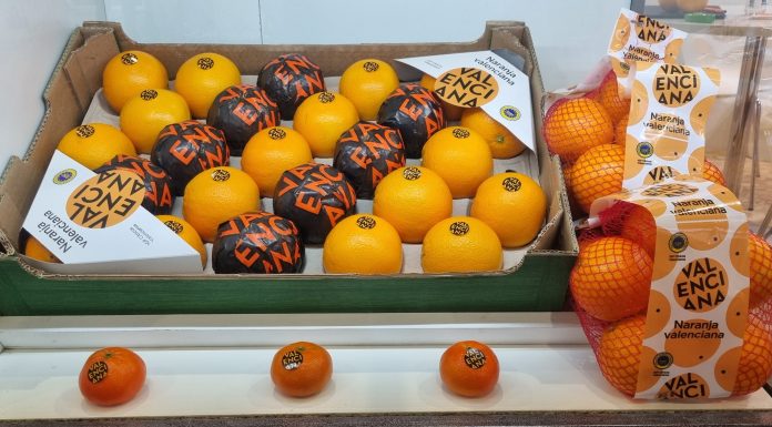 La ‘Naranja Valenciana’ llegará a más supermercados: dónde comprar cítricos de Valencia La 'Naranja Valenciana' llegará a más supermercados: dónde comprar cítricos de Valencia