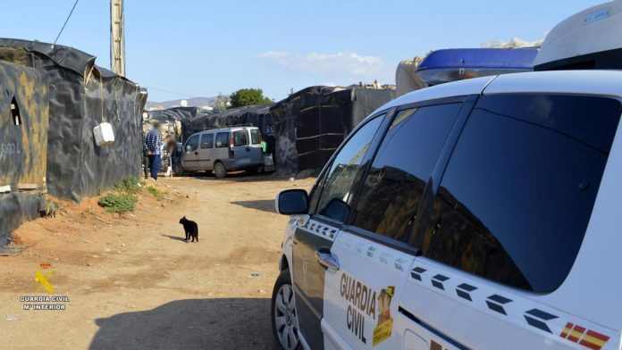 Investigan a un hombre por matar a su perro de un tiro en la cabeza