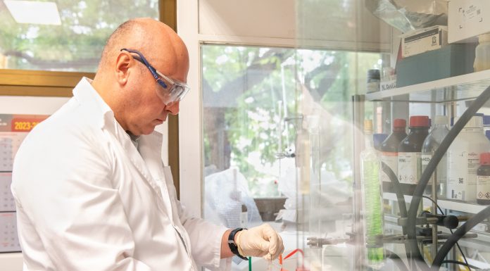 Identifica nuevos compuestos que podrían ayudar en la lucha contra el cáncer de mama Identifica nuevos compuestos que podrían ayudar en la lucha contra el cáncer de mama