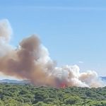 El Saler en peligro: Nueve incendios en tres meses