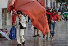 Aemet pide «mucha precaución» por fuertes rachas de viento y riesgo de caída de árboles en Valencia Aemet pide "mucha precaución" por fuertes rachas de viento y riesgo de caída de árboles en Valencia