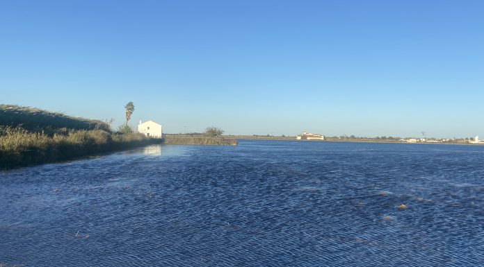 El desafío del cambio climático a debate esta semana en Valencia El desafío del cambio climático a debate esta semana en Valencia