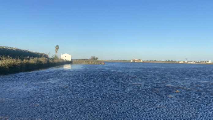 El desafío del cambio climático a debate esta semana en Valencia