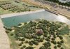 El nuevo cauce del Turia llegará hasta el mar y recuperará su flora y fauna El nuevo cauce del Turia llegará hasta el mar y recuperará su flora y fauna