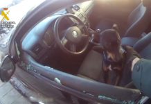 Rescatan a un bebé y un perro del interior de un coche en Oliva Rescatan a un bebé y un perro del interior de un coche en Oliva