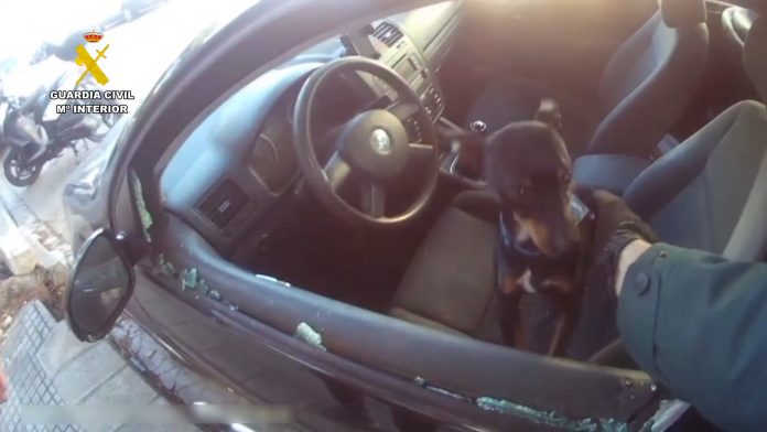 Rescatan a un bebé y un perro del interior de un coche en Oliva