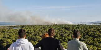 VÍDEO | Los vecinos de El Saler relatan el infierno del incendio: "Parecía la guerra, no se podía respirar"