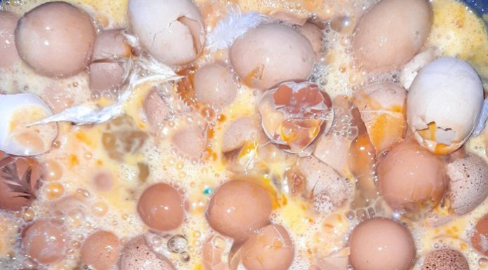 ¿Sabías que los huevos rotos pueden transformarse en materias primas para el calzado?