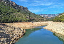 Declaran la «situación excepcional» por la mayor sequía de los últimos 33 años Declaran la "situación excepcional" por la mayor sequía de los últimos 33 años