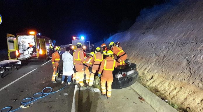 Tres heridos por un accidente causado por un jabalí en Navarrés