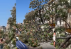 La caída de un árbol deja tres heridos en la Plaza del Mercat de Valencia