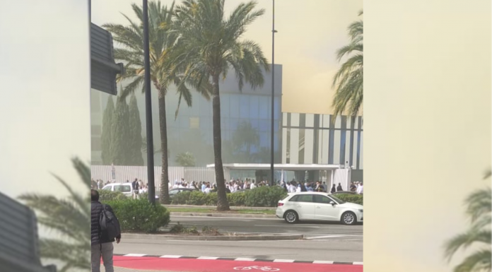 Un incendio en Dulcesol obliga a desalojar a más de 600 trabajadores y paralizar la producción Un incendio en Dulcesol obliga a desalojar a más de 600 trabajadores y paralizar la producción