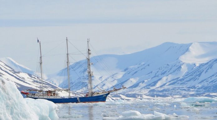 El Oceanogràfic organizará un viaje para disfrutar de las auroras boreales y avistar ballenas este 2024 travesía