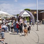 Éxito del desfile solidario de perros en BIOPARC