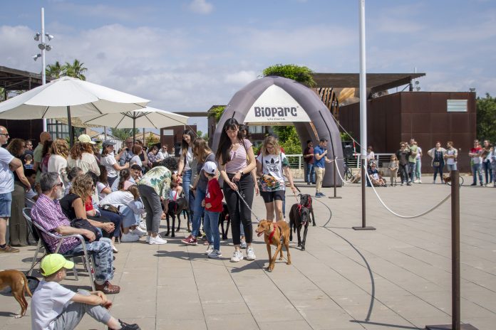 Éxito del desfile solidario de perros en BIOPARC