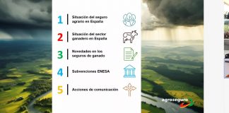 Agroseguro presenta el Plan 2024 de seguros pecuarios