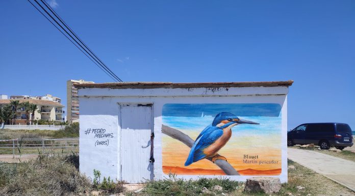 El Puig es vesteix d'art i consciència amb el nou mural de Pedro Mecinas