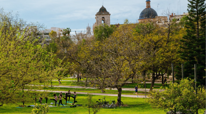 Un paseo por los grandes atractivos verdes de Valencia Los grandes atractivos verdes de Valencia